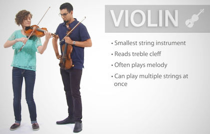 Violin