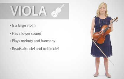 Viola